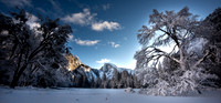 Yosemite 2021 -20