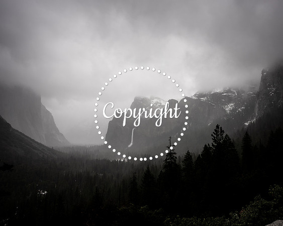 Yosemite 2021 -1